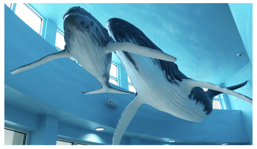 EPS Whale Sculpture